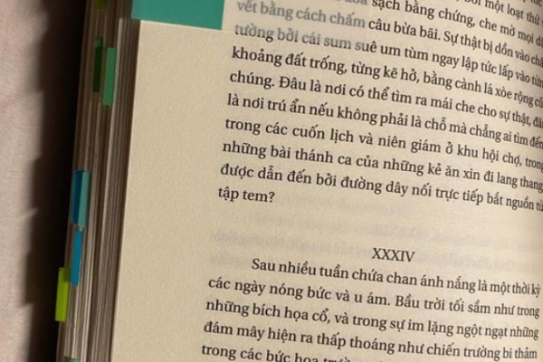 một độc giả