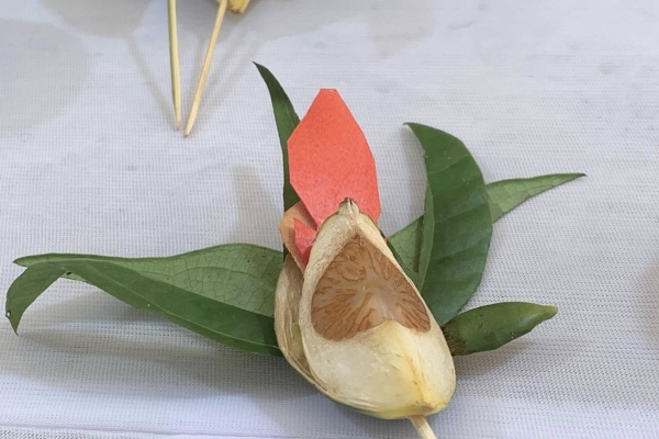 bỗng nhiên giàu