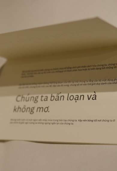Bức thành cành vụn (hors-commerce)